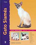 Gato Siames / Siamese Cats