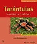Tarantulas