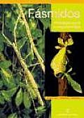 Fasmidos/ Phasmids