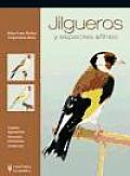 Jilgueros Y Especies Afines / Goldfinch and Related Species
