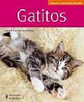 Gatitos / Kittens