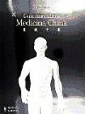 Guia Ilustrada De Medicina China / an Illustrated Guide To Chinese Medicine