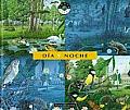 Dia y Noche