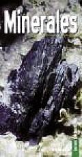 Minerales/ Minerals