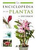 La Enciclopedia De Las Plantas De Interior/ the Houseplants Encyclopedia
