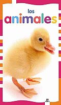 Los Animales / the Animals
