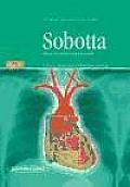 Sobotta Atlas De Anatomia Humana / Sobotta Atlas of the Human Anatomy