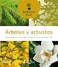 Arboles Y Arbustos / Trees and Bushes