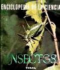 Insectos / Insects