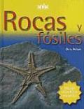 Rocas y Fosiles