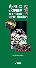 Anfibios Y Reptiles De La Peninsula Iberica E Islas Baleares/ Amphibious and Reptiles From the Iberian Peninsula and  the Balearic Islands