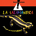 La Salamandra / the Salamander