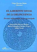 El Laberinto Social De La Delincuencia / the Social Labyrinth of Delinquency