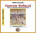 Castrum Galluccij - Storia di un insediamento fortificato del Casertano