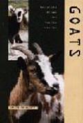 Goats