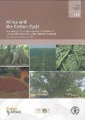 Africa and the Carbon Cycle: Proceedings of the Open Science Conference on "Africa and Carbon Cycle: The Carboafrica Project." Accra (Ghana) 25-27