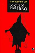 Lo Que Oi Sobre Iraq/ What I Heard About Iraq