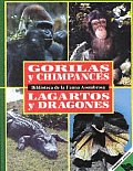Gorilas Y Chimpaces/Lagartos Y Dragones/Gorillas and Chimpanzees/Alligators and Lizards