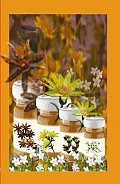 El Poder Curativo De Plantas/ Healing Power of Plants