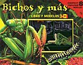 Libro y Modelos 3-D: Bichos y Mas: Book and 3-D Models: Bugs and More
