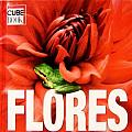 Flores / Flowers