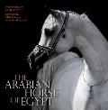 The Arabian Horse of Egypt