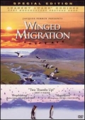 Winged Migration