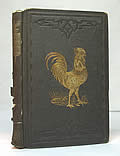 Domestic Poultry Being a Practical Treatise on the Preferable Breeds of Farm Yard Poultry