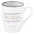 Value Mug in Know the Plans