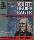 White Headed Eagle - Signed Edition