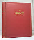 The Pigeon