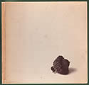 Little Acorn the Story Behind the Joy of Cooking 1931 1966