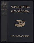 Whale Hunting With Gun & Camera