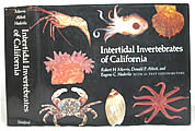 Intertidal Invertebrates Of California