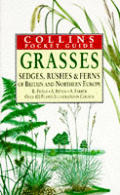 Grasses Sedges Rushes & Ferns Of Britain