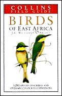 Birds Of East Africa