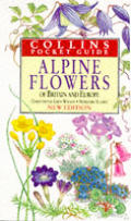 Alpine Flowers Of Britain & Europe