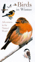 Birds In Winter Collins Watch Guides