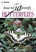How To Identify Butterflies