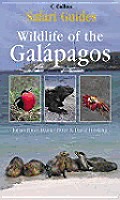Wildlife Of The Galapagos