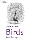 Learn To Draw Birds