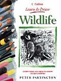 Wildlife Learn To Draw Series