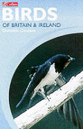 Collins Birds Of Britain & Ireland