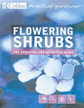 Flowering Shrubs What To Grow How To Gro