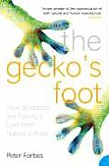 The Gecko's Foot: How Scientists are Taking a Leaf from Nature's Book