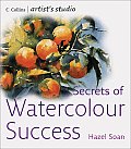 Secrets Of Watercolour Success