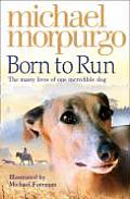 Born To Run The Many Lives Of One Incredible Dog