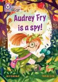 Audrey Fry Is a Spy!: Collins Big Cat