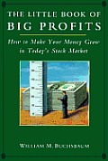 Little Book Of Big Profits How to Make Your Money Grow in Todays Stock Market