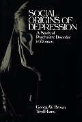 Social Origins Of Depression